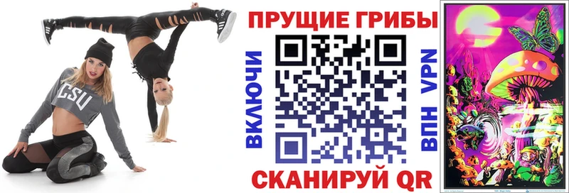 Купить закладки  Малаховка  Псилоцибиновые грибы прущие грибы 